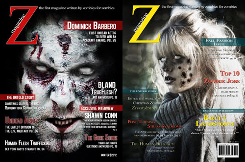 Covers of the first two editions of Z Magazine Covers of the first two editions of Z Magazine