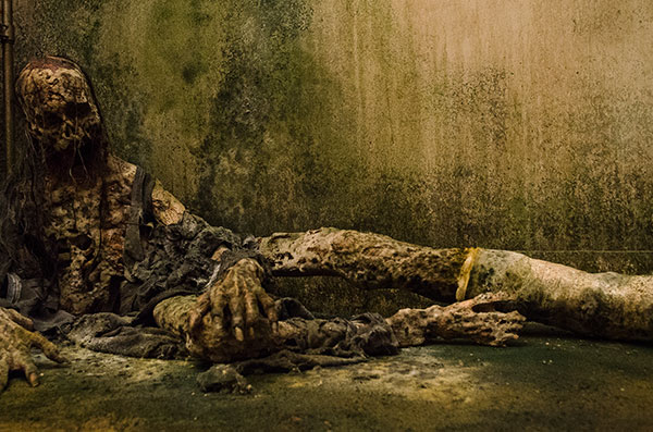 The Walking Dead Review Episode 614
