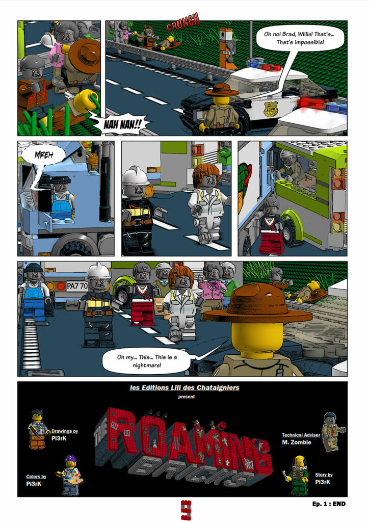 The Roaming Bricks #10